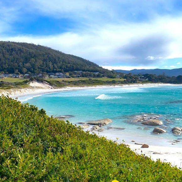 Meet your Posher, Stephanie - Picture 1 of 1